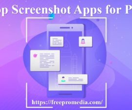 Top Screenshot Apps for PC